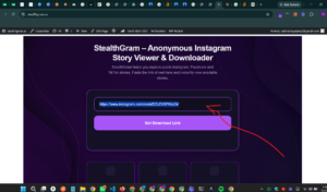 Instagram Story Viewer – Watch & Download IG Stories Anonymously 1 stealthgram preview 1